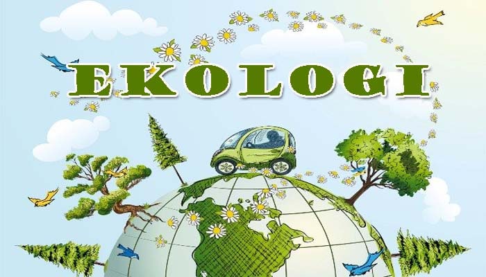 Pengertian Ekologi, Prinsip, Piramida, Jenis dan Manfaat Ekologi Bagi Podstawy Ekologi