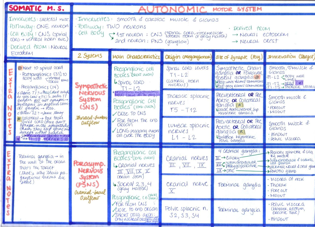 Ati Pharmacology Made Easy Neurological System Part 1