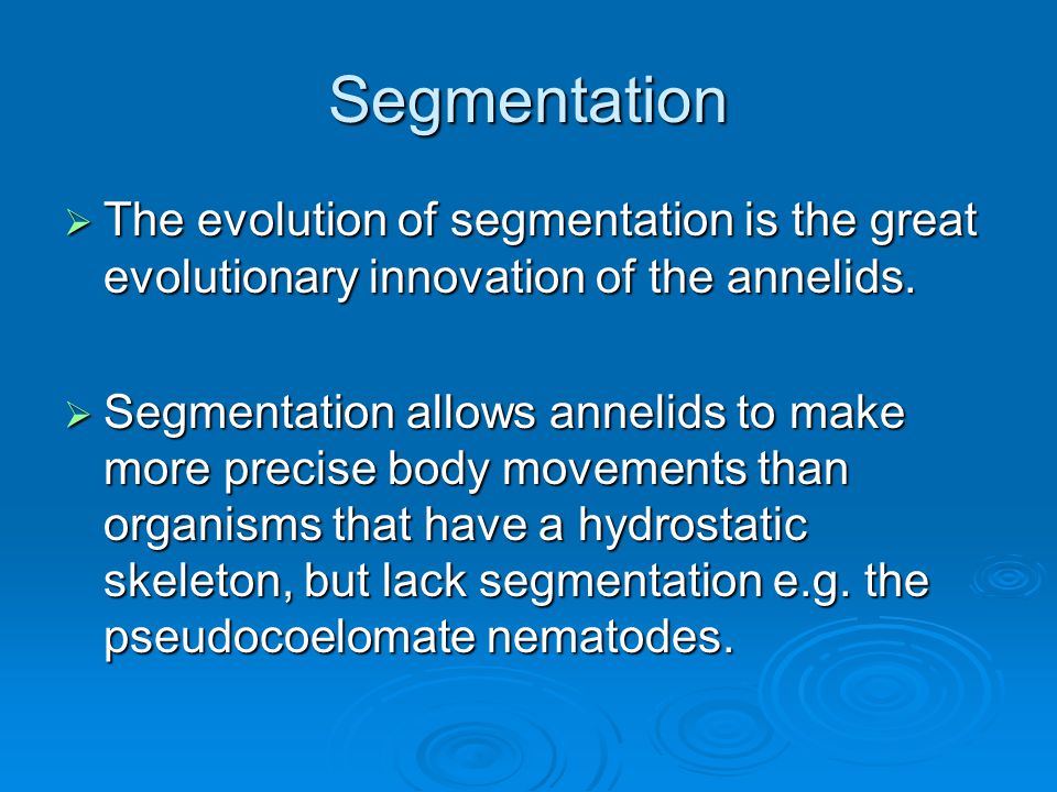 Phylum Annelida: summary of characteristics - ppt video online download Non Segmentation Allows For Evolutionary Innovation In Body Form