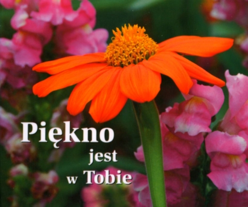 Piękno jest w Tobie | Księgarnia katolicka Wierzymy.pl Happy Uroda Piekno Jest W Tobie