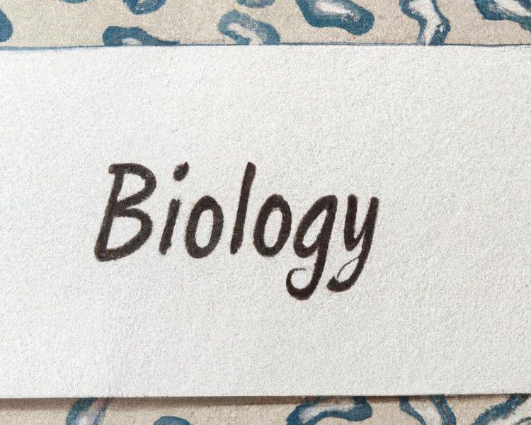 Pierwsza strona zeszytu do biologii: jak ją zaplanować i zorganizować Pierwsza Strona Do Zeszytu Z Biologii
