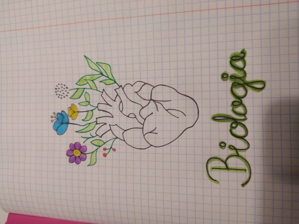 Biologia Pierwsza Strona W Zeszycie