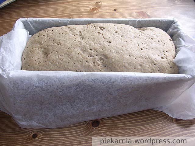 Jak Uratowac Niewyrosniete Ciasto Na Chleb