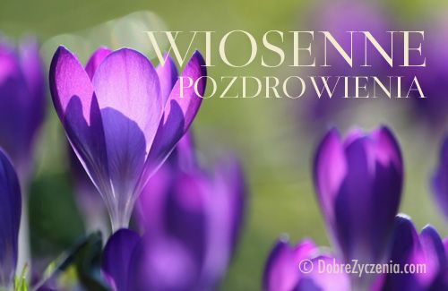 Zyczenia Na Pierwszy Dzien Wiosny