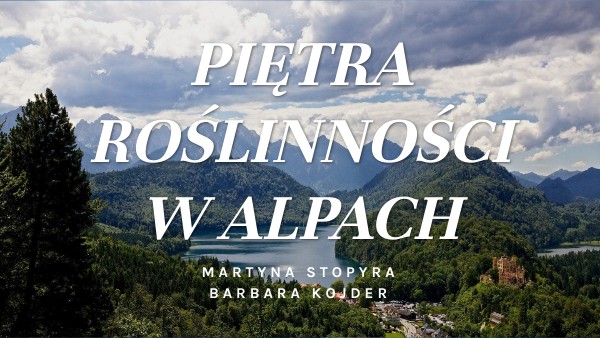 PIĘTRA ROŚLINNOŚCI W ALPACH | Genially Piętra Roślinności W Alpach Rysunek