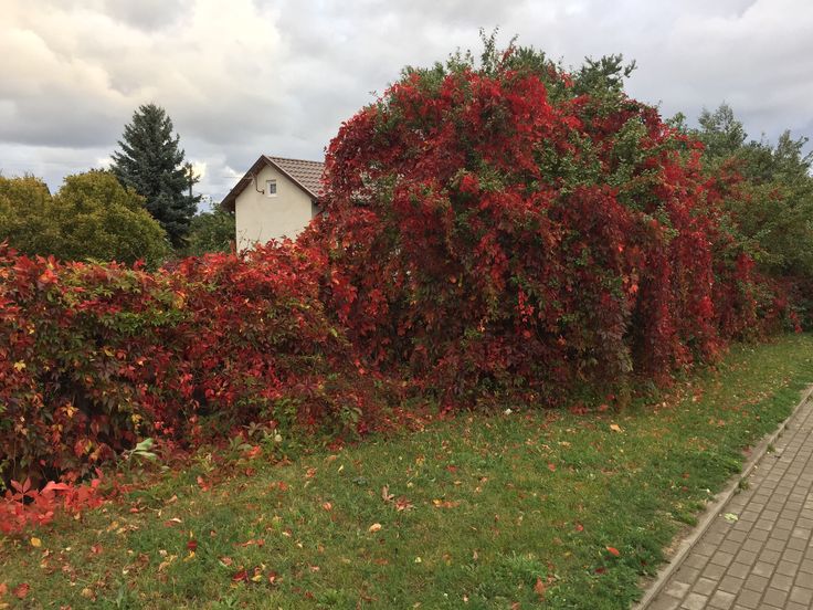 Agencja Nieruchomości Rolnych Skarbu Państwa Olsztyn