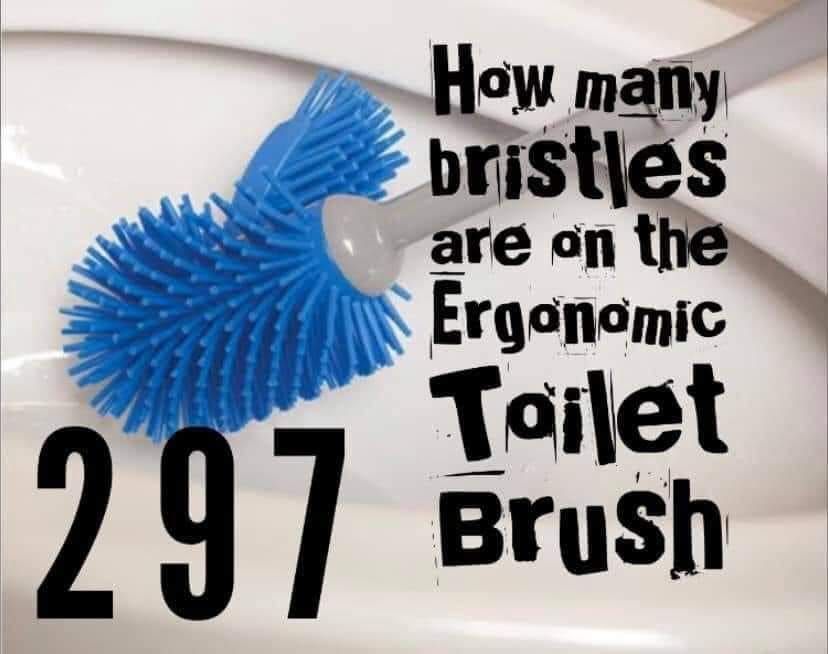 How Many Bristles On Norwex Toilet Brush