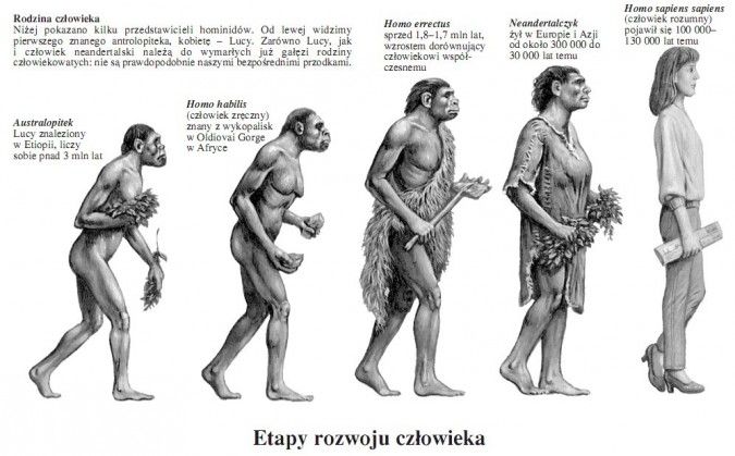 Pin by Carolina WSmith on Evolution in different scenes | Evolution saw Ewolucja Zycia Klasa 8 Nowa Era