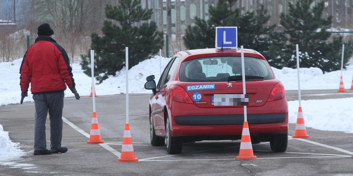 Egzamin Na Prawo Jazdy Piotrków Trybunalski Opinie