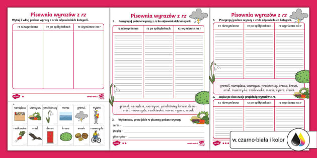 Pisownia wyrazów z rz | Ćwiczenia ortograficzne | 3 poziomy Cwiczenia Ortograficzne Rz Po Splgloskach