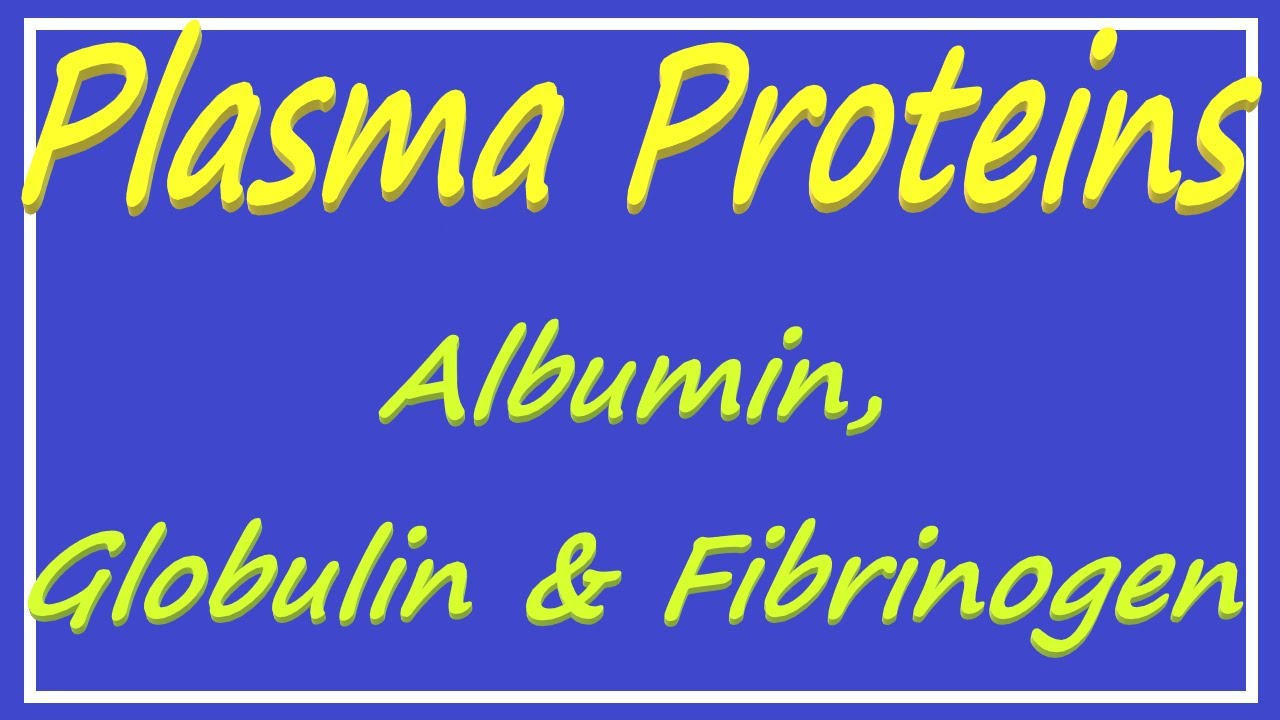 Stosunek Albumin Do Globulin U Psa