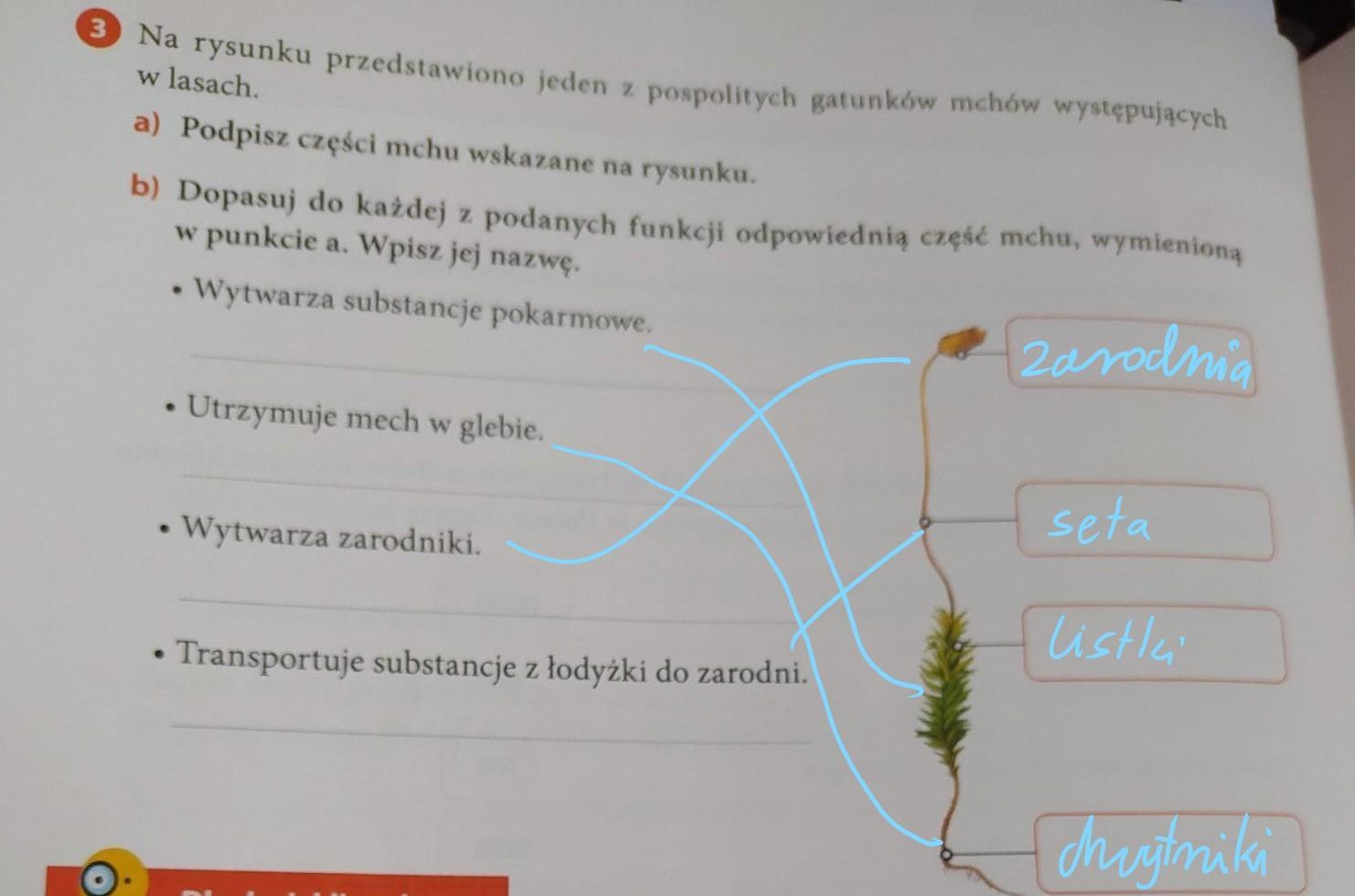 plus życia ćwiczenie 5klasa potrzebne na już plis pomożecie - Brainly.pl Transportuje Różne Substancje Do Wnętrza I Na Zewnątrz Komórki