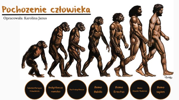 Pochodzenie człowieka by Karolina Janus on Prezi Biologia Klasa 8 Pochodzenie Czlowieka Sprawdzian