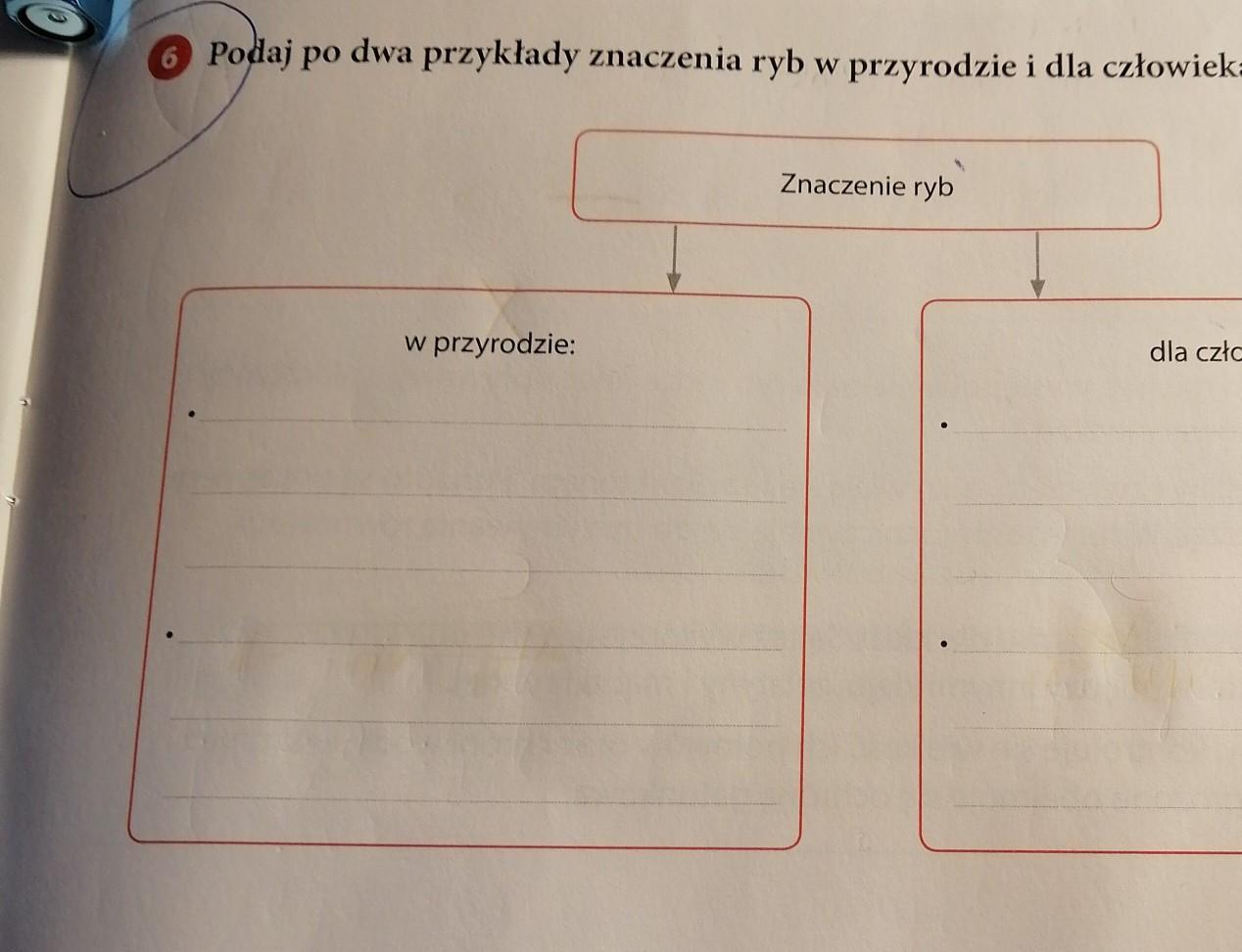 Podaj Dwa Przyklady Znaczenia Malzy W Przyrodzie