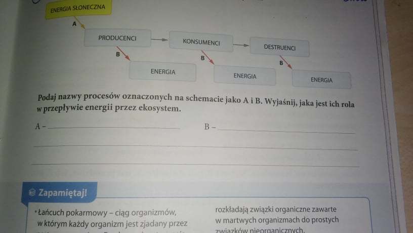 Podaj nazwy procesów oznacoznych na schemacie jako A i B. Wyjaśnij jaka Wpisz Przy Strzalkach Nazwy Procesow I Podaj Ich Definicje