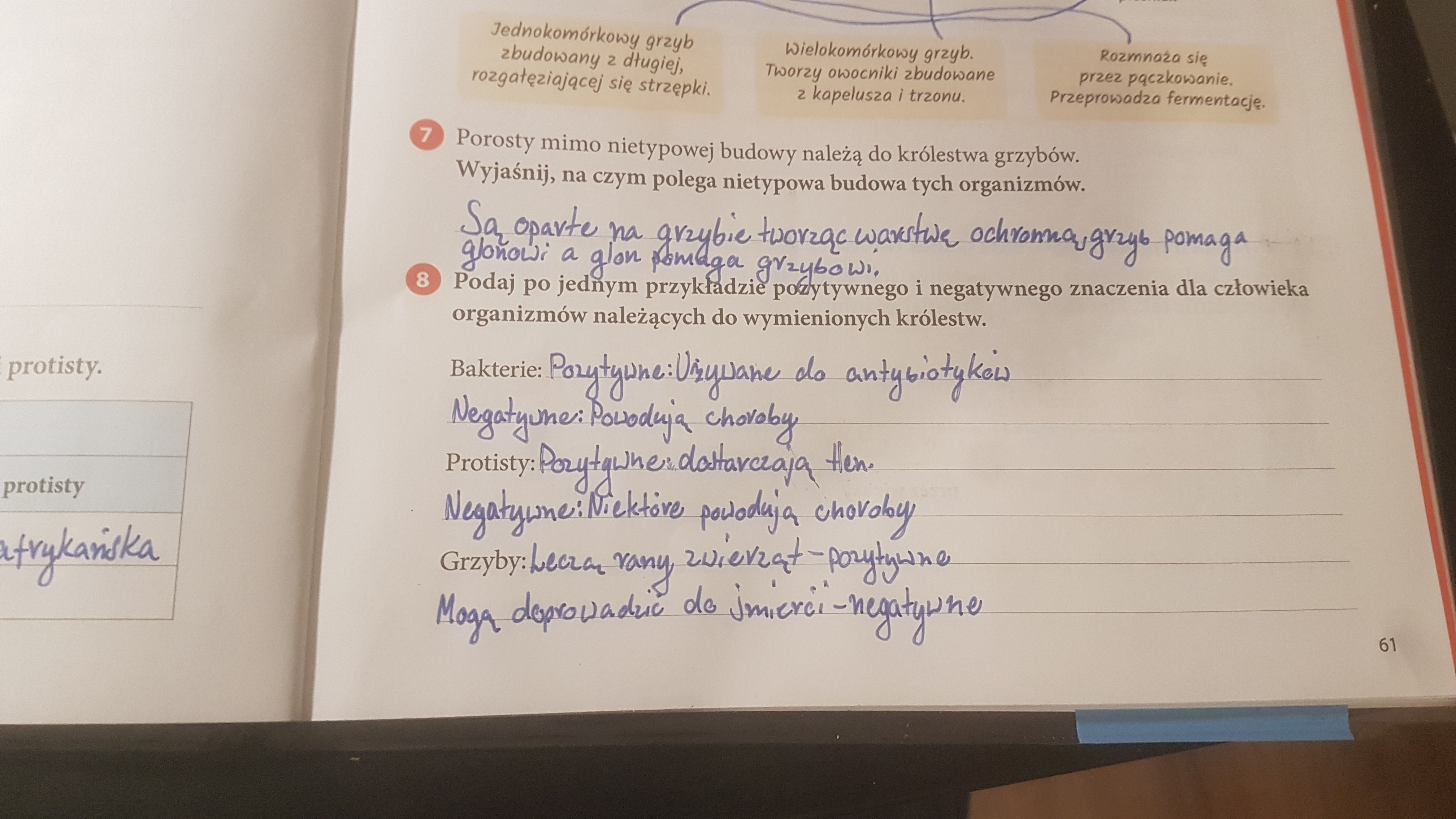 Podaj Różne Znaczenia Wymienionych Rzeczowników