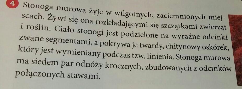 Podkreśl W Tekście Dwa Zdania Które świadczą O Tym że - Margaret Wiegel Podkresl W Tekscie Dwa Zdania Ktore Swiadcza O Tym Ze