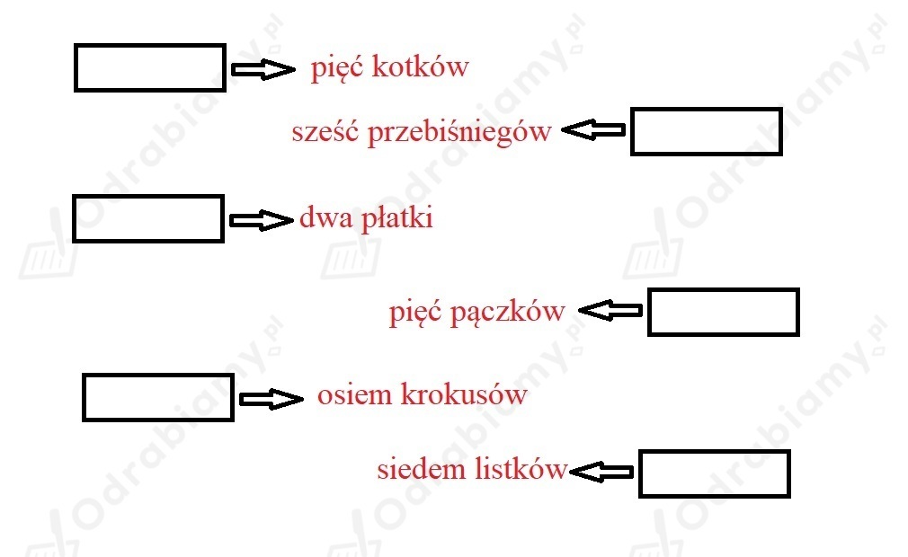 🎓 Podpisz obrazki według wzoru...- Zadanie 4: Szkolni przyjaciele 2 Podpisz Ilustracje Użyj Tylko Równoważników Zdań