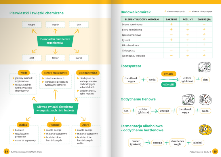 Podręcznik do biologii Klasa 5 - Szkoła podstawowa | WSiP.pl Biologia Klasa 5 Dzial 3 Sprawdzian