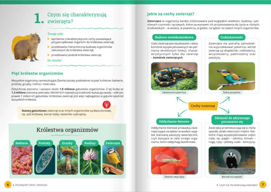 Podrecznik Do Biologii Klasa 6 Puls Zycia