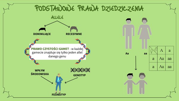 Podstawowe Prawa Dziedziczenia Klasa 8