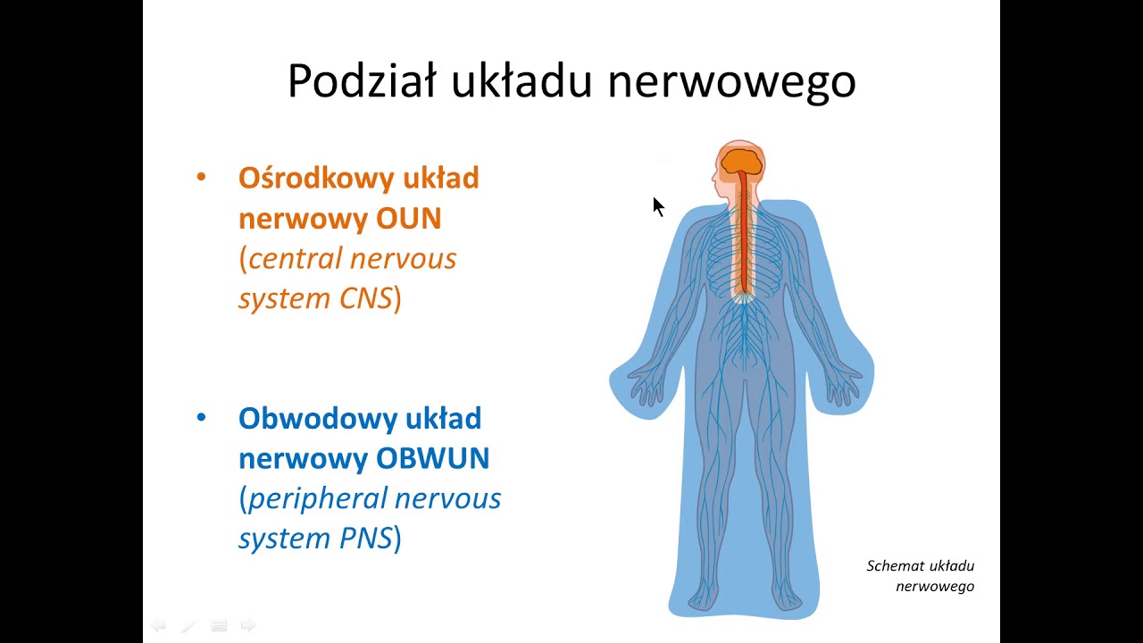 Wyjaśnij Dlaczego Państwa Centralne Poniosły Klęskę