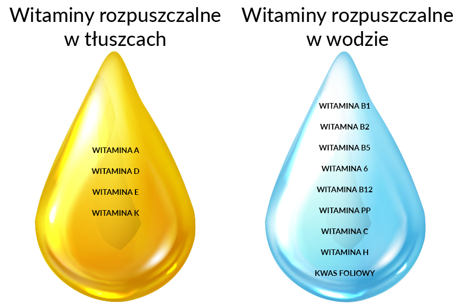 Podział witamin i ich znaczenie w organizmie - encyklopedia witamin Mydla Wapniowe I Magnezowe Sa Nierozpuszczalne W Wodzie