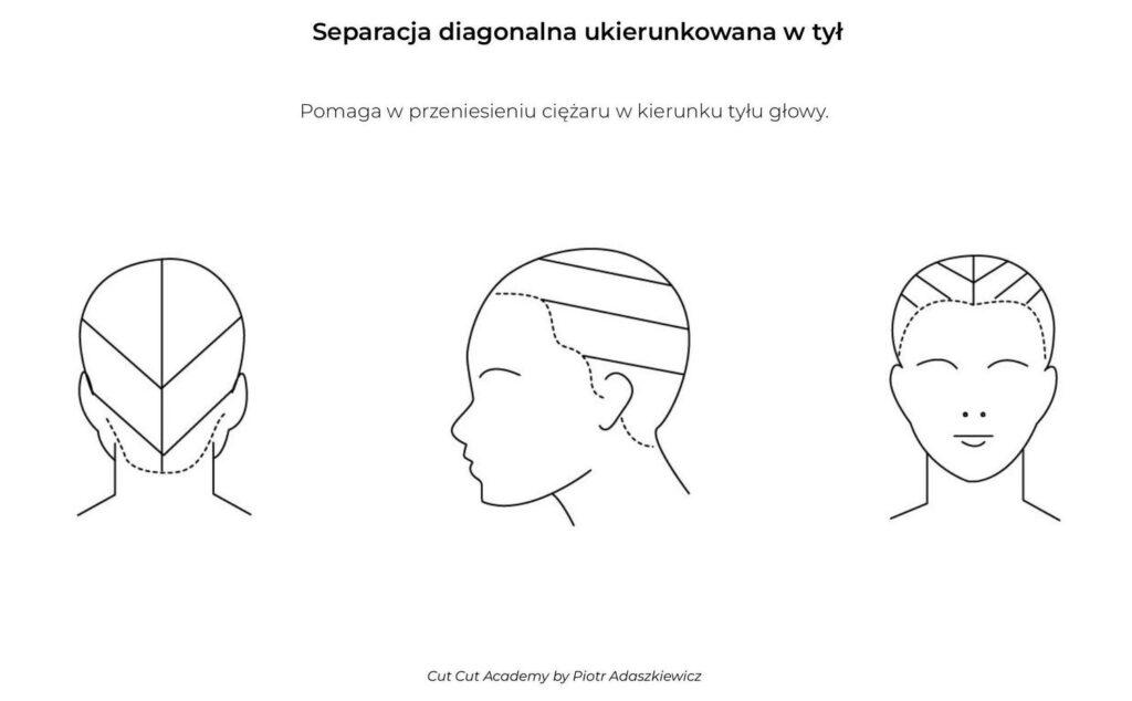 Podział Włosów Na Sekcje I Separacje