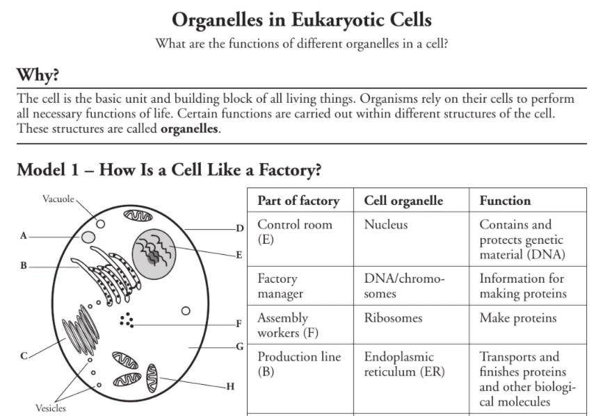 POGIL: Eukaryotic Organelles (7th) 7th - 8th Grade Quiz | Quizizz Pogil Prokaryotic And Eukaryotic Cells Answer Key