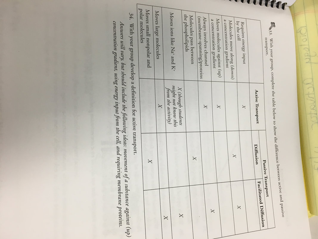 POGIL responses for studying Cell Membrane structure and function Membrane Structure And Function Pogil Pdf