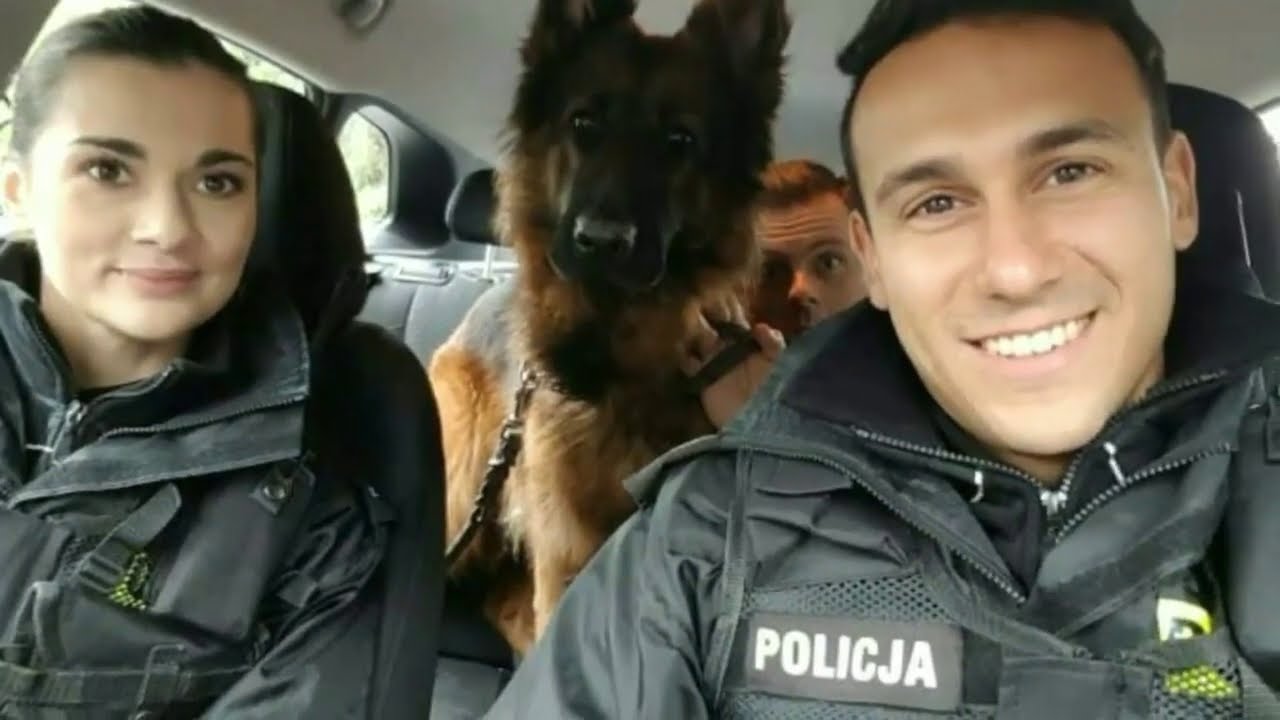 Policjantki I Policjanci Asia I Szymon Instagram - STELLIANA NISTOR Policjantki I Policjanci Asia I Szymon Instagram