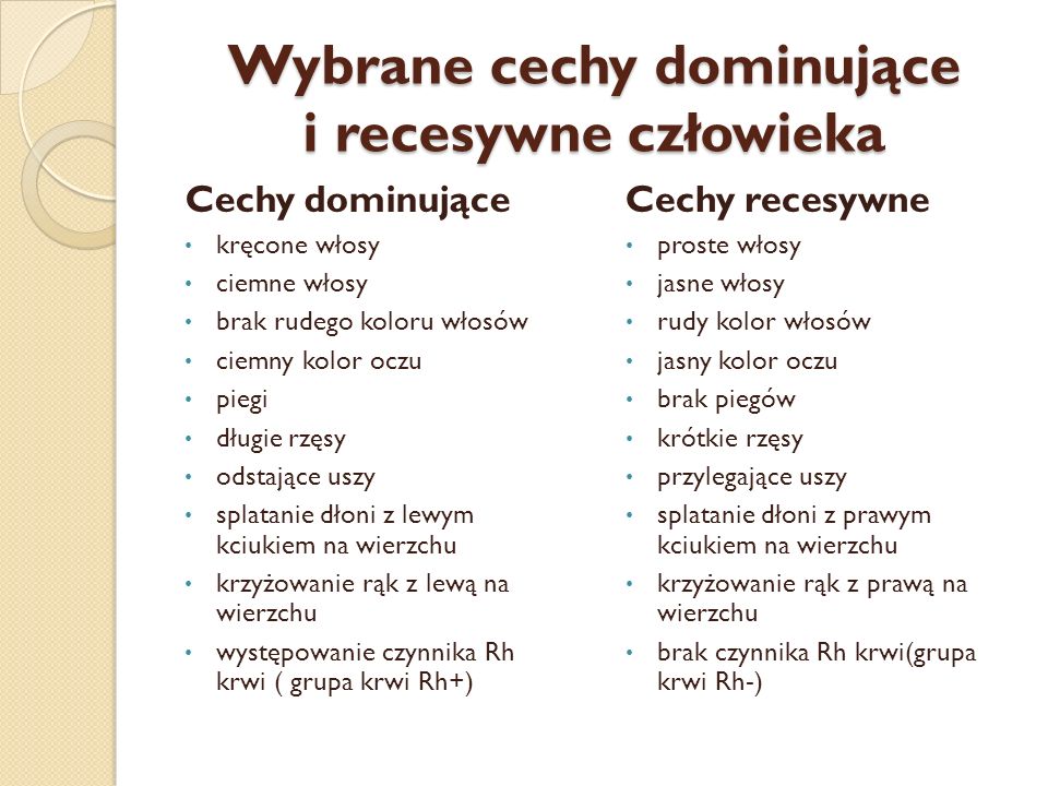 Izabela łęcka Cechy Budzące Sympatię