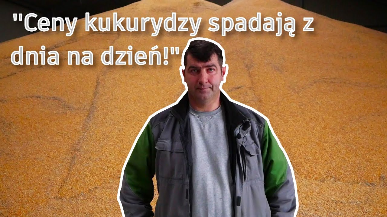 Import Z Brazylii Do Polski