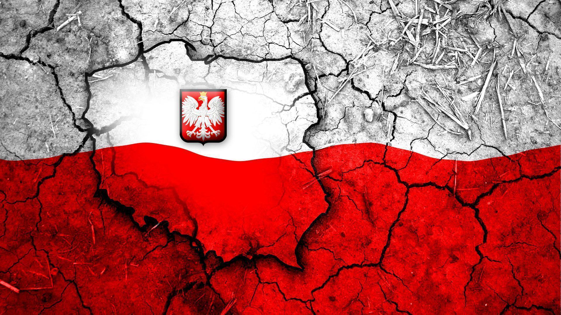 Polska Organizacja Pozarządowa Pomagająca Krajom Trzeciego świata