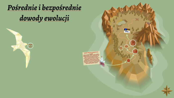 Pośrednie i bezpośrednie dowody ewolucji by Kasia Zuiza on Prezi Zaznacz Punkt W Ktorym Podano Tylko Bezposrednie Dowody Ewolucji