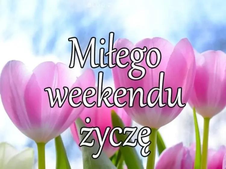 Pozdrowienia na weekend gify kartki ⭐ Miłego weekendu życzenia obrazki Pozdrawiam I Zycze Milego Weekendu