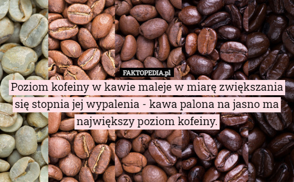 Poziom kofeiny w kawie maleje w miarę zwiększania się stopnia jej Ile Kofeiny W Kawie Rozpuszczalnej