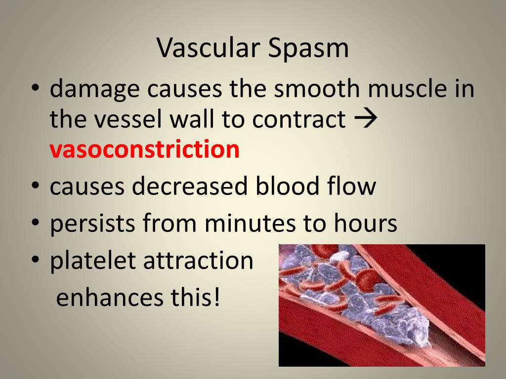 Select All That Are True Of A Vascular Spasm