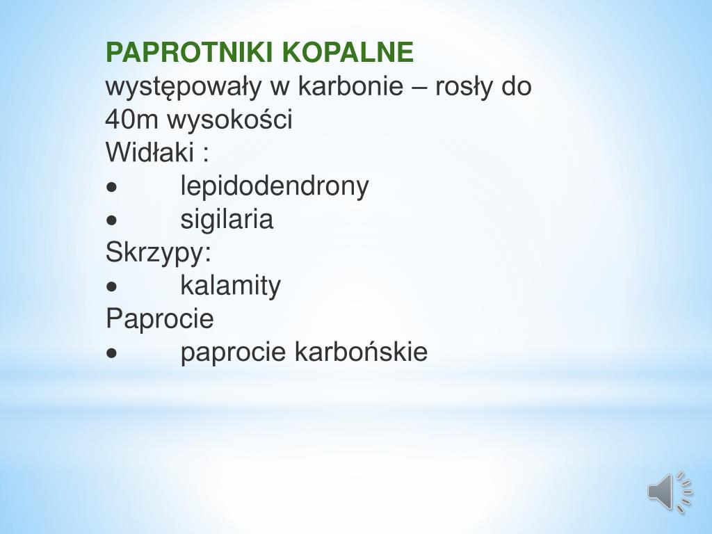 PPT - JAK POWSTAŁ WĘGIEL KAMIENNY? PowerPoint Presentation, free Jak Wyglądało życie Robotników W Xix Wieku