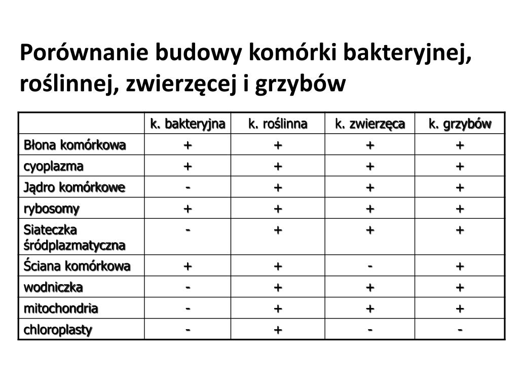 Porównanie Komórki Roślinnej I Zwierzęcej