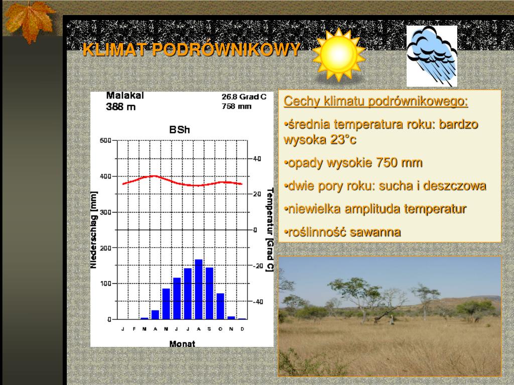 Zaznacz Litere K Jesli Opis Dotyczy Klimatu