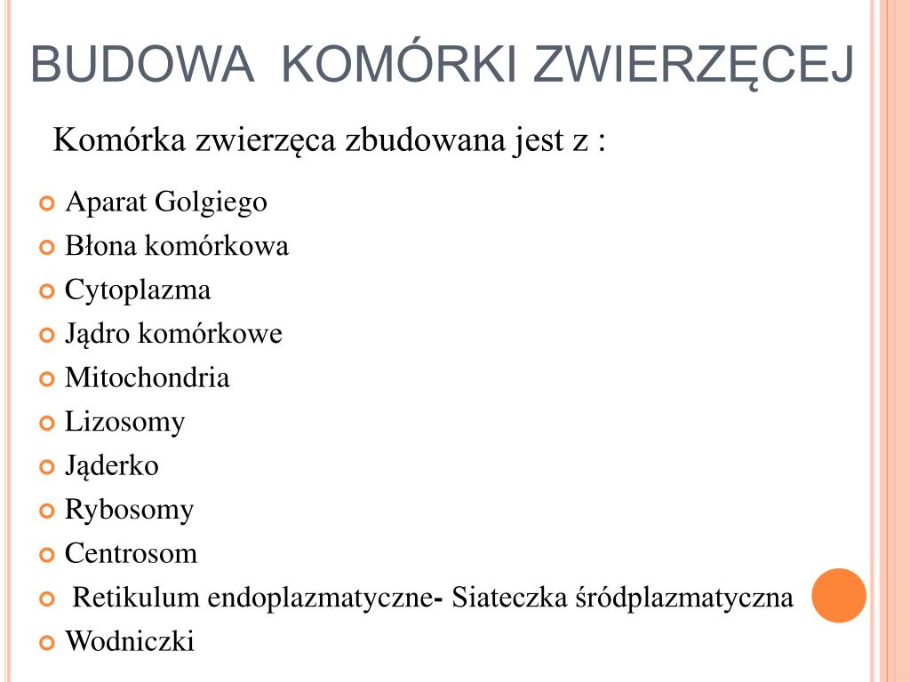 PPT - Komórki Roślinne i Komórki Zwierzęce PowerPoint Presentation - ID Komórka Zwierzęca Budowa I Funkcje