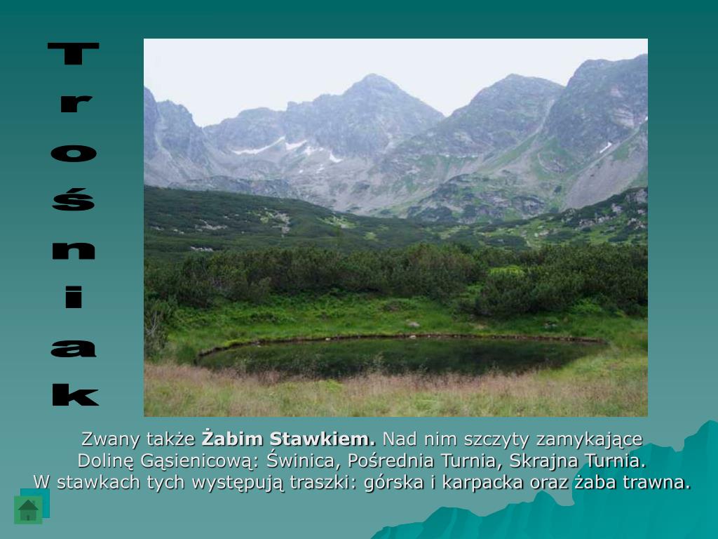 PPT - Krajobraz wysokogórski Tatr PowerPoint Presentation, free Krajobraz Wysokogorski Tatr Klasa 5