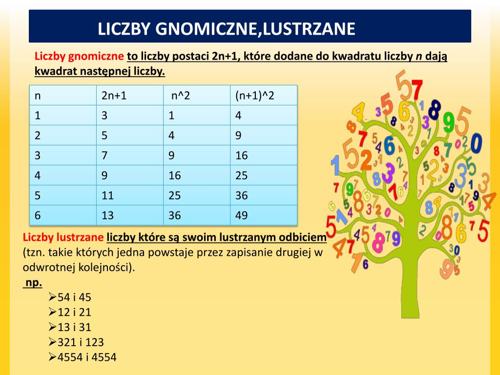 Matematyka Klasa 5 Liczby Całkowite