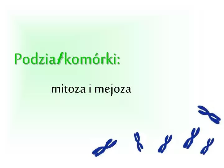 PPT - Podzia ł komórki: PowerPoint Presentation, free download - ID:6587018 Podziały Komórkowe Klasa 8 Kartkówka