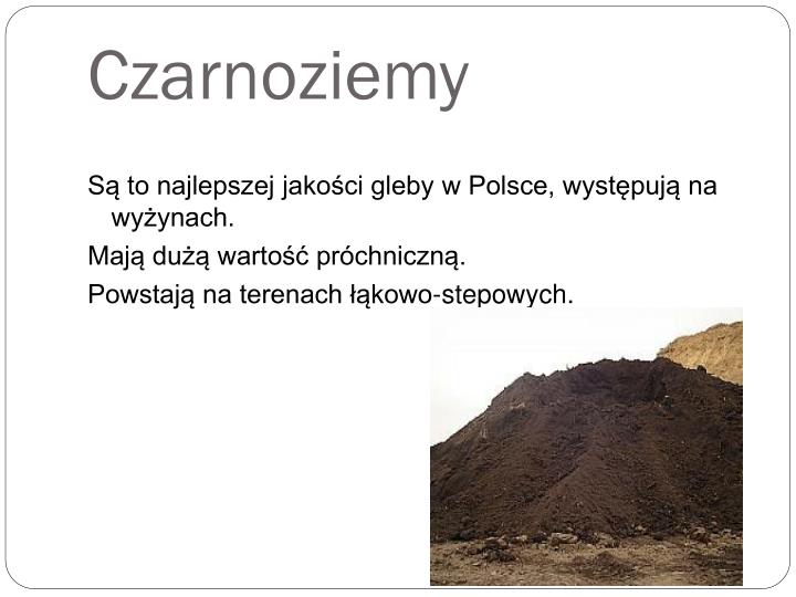 PPT - Rodzaje gleb w Polsce PowerPoint Presentation - ID:4149553 Gdzie Występują Czarnoziemy W Polsce