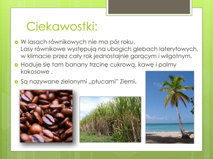 PPT - Strefa klimatów równikowych PowerPoint Presentation - ID:6755223 Ciekawostki Wilgotnego Lasu Równikowego