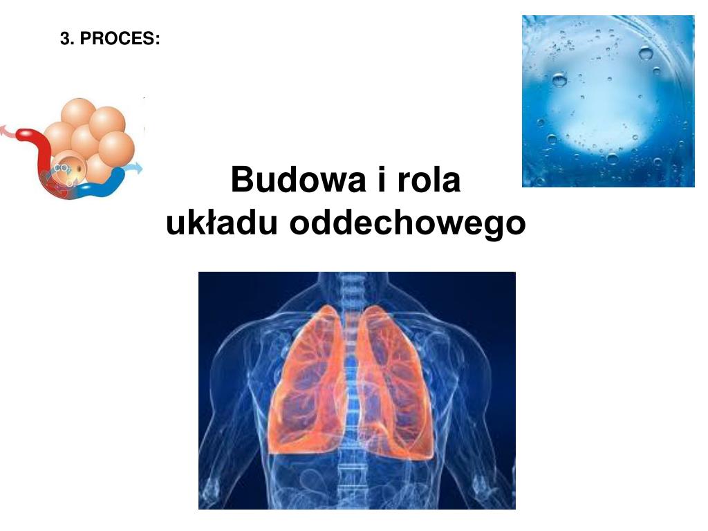 PPT - Temat: BUDOWA I ROLA UKŁADU ODDECHOWEGO PowerPoint Presentation Jaką Funkcję Pełni Układ Oddechowy