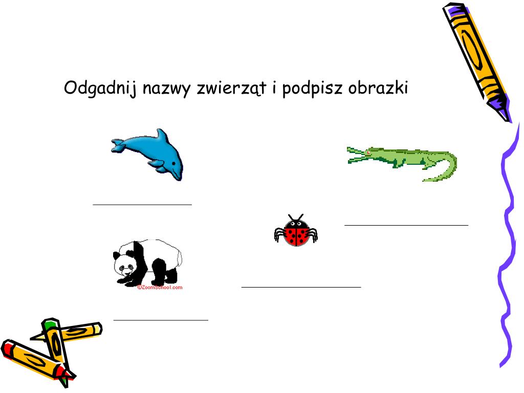 Odgadnij Nazwy Zwierząt I Roślin Z Ch Ih