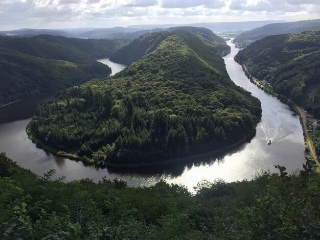 Premium Photo | Motorboat sailing on river in forest against sky Jack Rides In A Motorboat Against A River Current